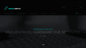 What Binauralcomputer.com website looked like in 2021 (3 years ago)