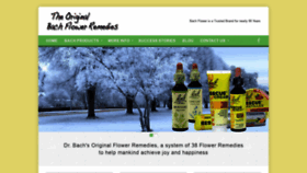 What Bachflower.com website looked like in 2021 (3 years ago)