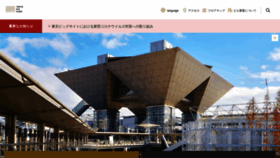 What Bigsight.jp website looked like in 2021 (3 years ago)