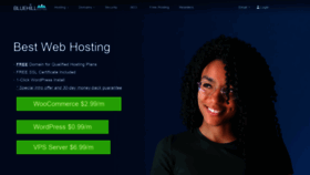 What Bluehillhosting.com website looked like in 2021 (3 years ago)