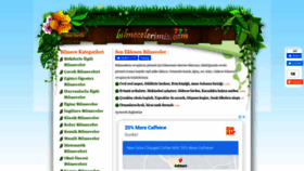 What Bilmecelerimiz.com website looked like in 2021 (3 years ago)