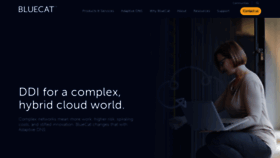 What Bluecatnetworks.com website looked like in 2021 (4 years ago)
