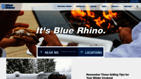 What Bluerhino.com website looked like in 2021 (3 years ago)
