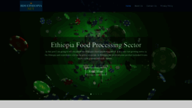 What Bds-ethiopia.net website looked like in 2021 (3 years ago)