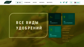 What Bhz.ru website looked like in 2021 (3 years ago)