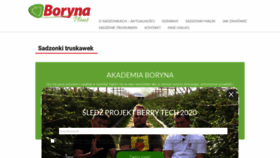 What Borynaplant.pl website looked like in 2021 (3 years ago)