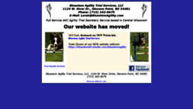 What Bluestemagility.com website looked like in 2021 (3 years ago)