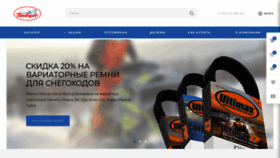 What Badger.ru website looked like in 2021 (3 years ago)
