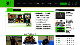 What Baseballking.jp website looked like in 2021 (4 years ago)