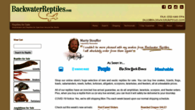 What Backwaterreptiles.com website looked like in 2021 (4 years ago)