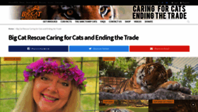 What Bigcatrescue.org website looked like in 2021 (3 years ago)