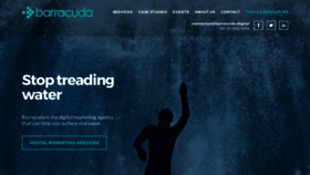 What Barracuda.digital website looked like in 2021 (3 years ago)