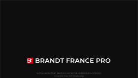What Brandtfrancepro.com website looked like in 2021 (3 years ago)