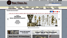 What Boneclones.com website looked like in 2021 (3 years ago)