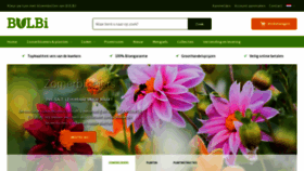 What Bulbi.nl website looked like in 2021 (4 years ago)
