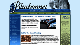 What Bluebonnet.org website looked like in 2011 (13 years ago)