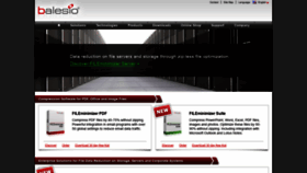 What Balesio.com website looked like in 2021 (4 years ago)
