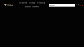 What Bullsteroids.com website looked like in 2021 (3 years ago)