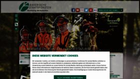 What Baysf.de website looked like in 2021 (4 years ago)
