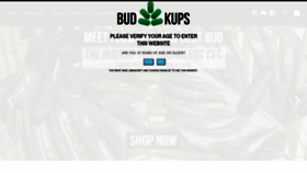 What Budkups.com website looked like in 2021 (3 years ago)
