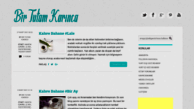 What Birtutamkarinca.com website looked like in 2021 (3 years ago)