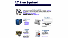 What Bluesquirrel.com website looked like in 2021 (3 years ago)