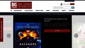 What Bigfinish.com website looked like in 2021 (2 years ago)