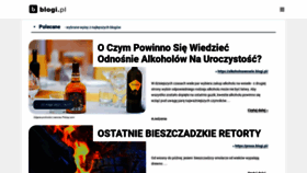 What Blogi.pl website looked like in 2021 (2 years ago)