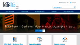 What Bngbank.nl website looked like in 2021 (2 years ago)