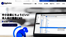 What Bluemonkey.jp website looked like in 2021 (2 years ago)