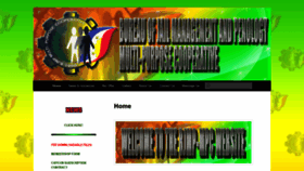 What Bjmpmpc.org website looked like in 2021 (4 years ago)