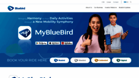 What Bluebirdgroup.com website looked like in 2021 (2 years ago)