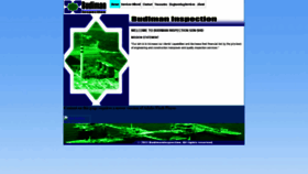 What Budimaninspection.com website looked like in 2021 (2 years ago)