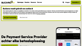 What Buckaroo.nl website looked like in 2021 (2 years ago)