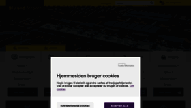 What Bll.dk website looked like in 2021 (4 years ago)