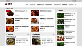 What Binnongwang.com website looked like in 2021 (2 years ago)