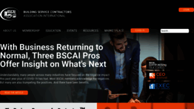 What Bscai.org website looked like in 2021 (2 years ago)