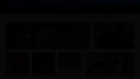 What Beastybike.com website looked like in 2021 (2 years ago)