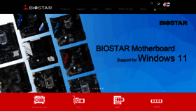 What Biostar-usa.com website looked like in 2021 (2 years ago)