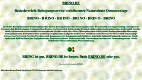 What Brino.de website looked like in 2021 (2 years ago)