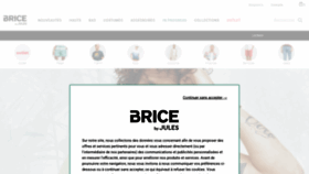 What Brice.fr website looked like in 2021 (2 years ago)