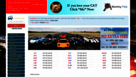 What Buycarplate.com website looked like in 2021 (2 years ago)
