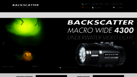 What Backscatter.com website looked like in 2021 (2 years ago)
