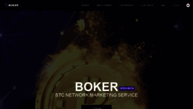 What Bokerbtc.com website looked like in 2021 (2 years ago)