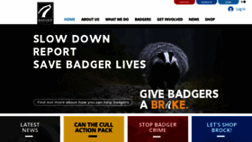What Badger.org.uk website looked like in 2021 (2 years ago)