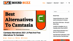 What Boundbuzz.com website looked like in 2021 (2 years ago)