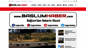 What Baglumhaber.com website looked like in 2021 (4 years ago)
