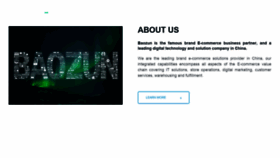 What Baozun.com website looked like in 2021 (2 years ago)