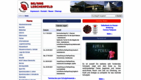 What Bglerchenfeld.at website looked like in 2021 (2 years ago)