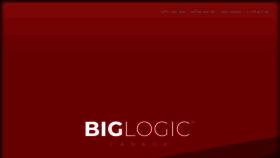 What Biglogic.ca website looked like in 2021 (2 years ago)